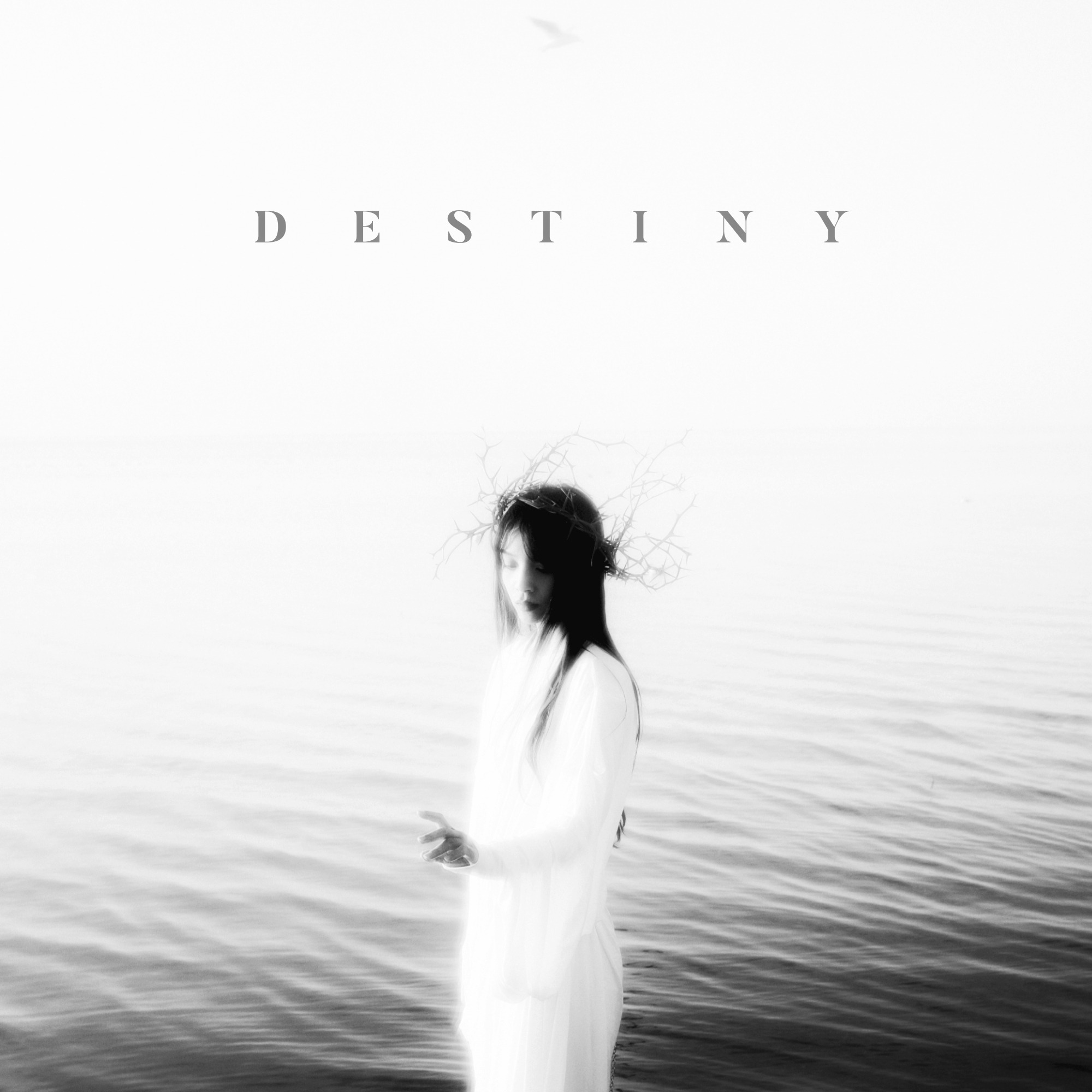 Destiny album by IUS